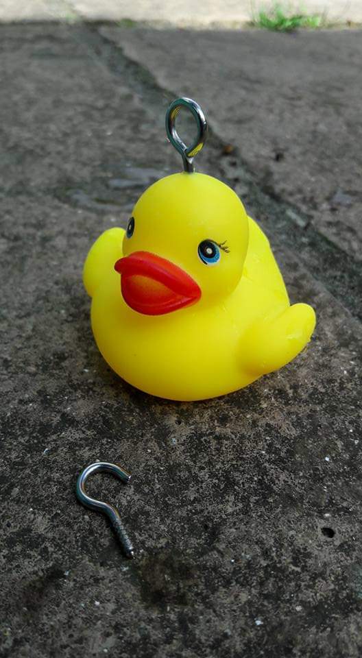 Make your own 'Hook a duck' game – Childsplayabc ~ Nature is our