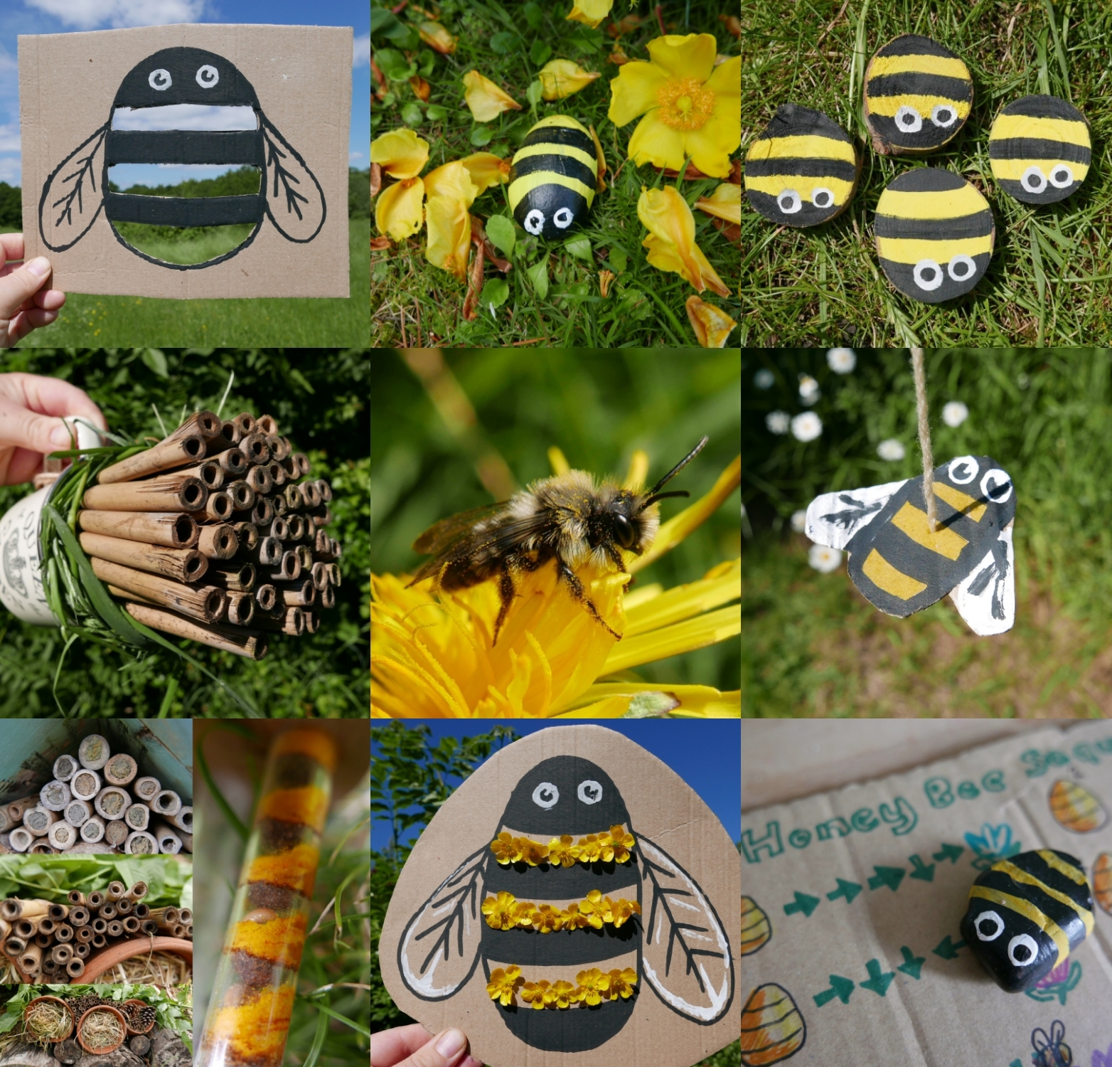 25 Bee activity ideas and fun facts – Childsplayabc ~ Nature is