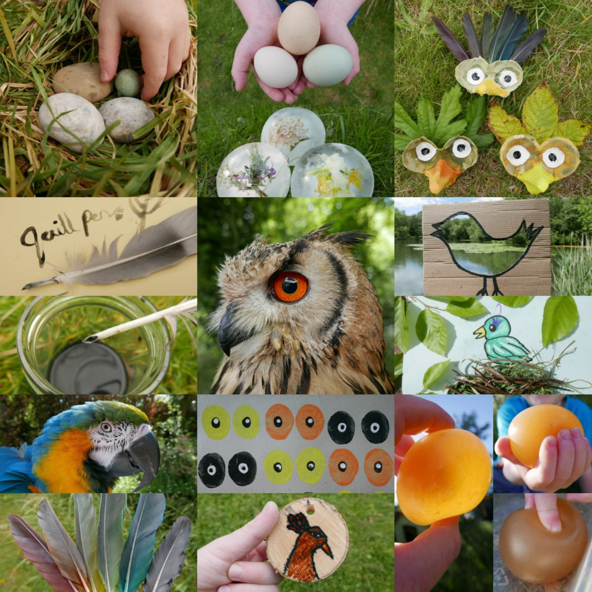 Hands-On Bird Nest Crafts that Blend Science and Art - Project Learning Tree