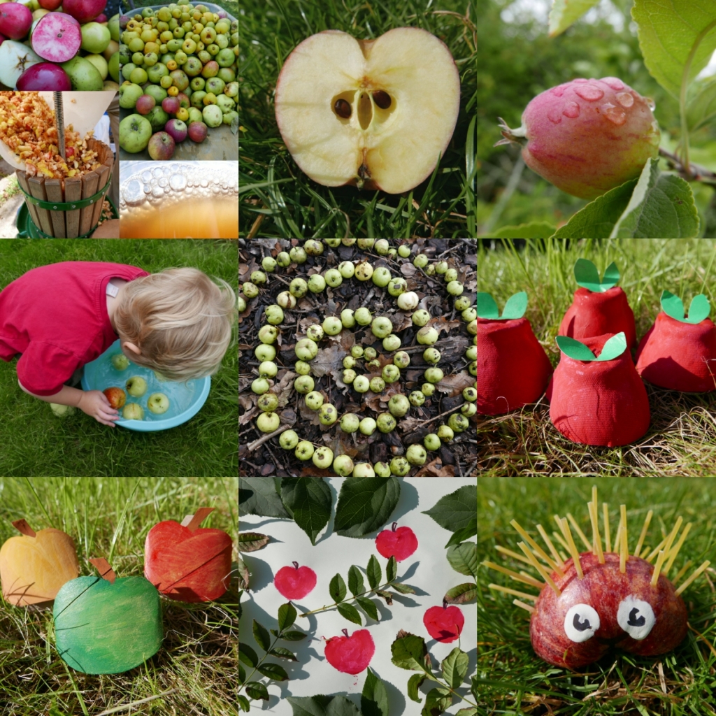 A- Z of Flora (plant/tree/seaweed ect) activity ideas – Childsplayabc ~  Nature is our playground